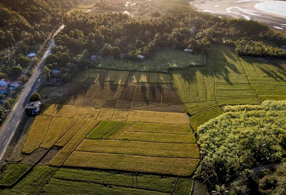 Agricultural Land for Sale in Embilipitiya