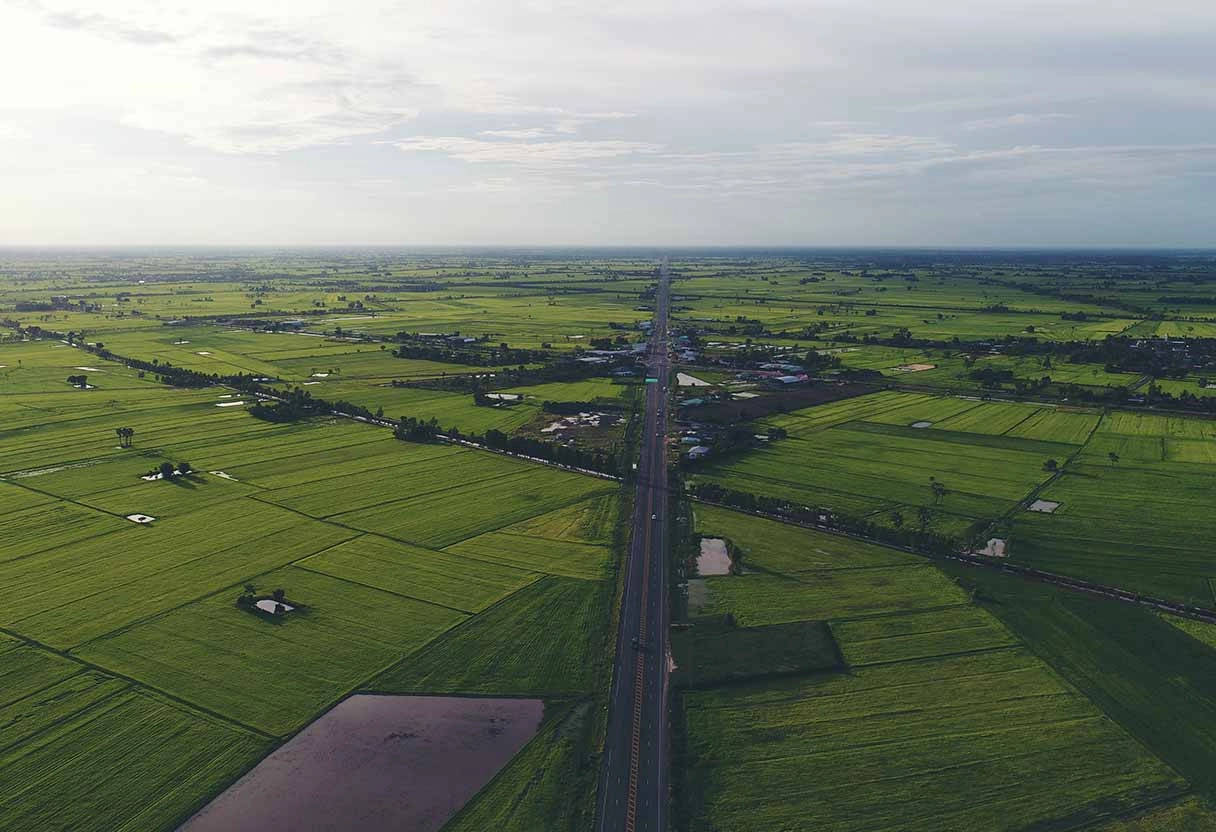 Agricultural Land for Sale in Embilipitiya